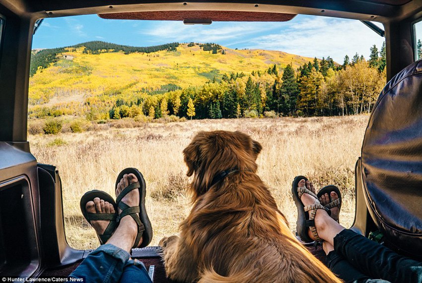 Meet the dog Aspen who puts your outdoor travel adventures to shame