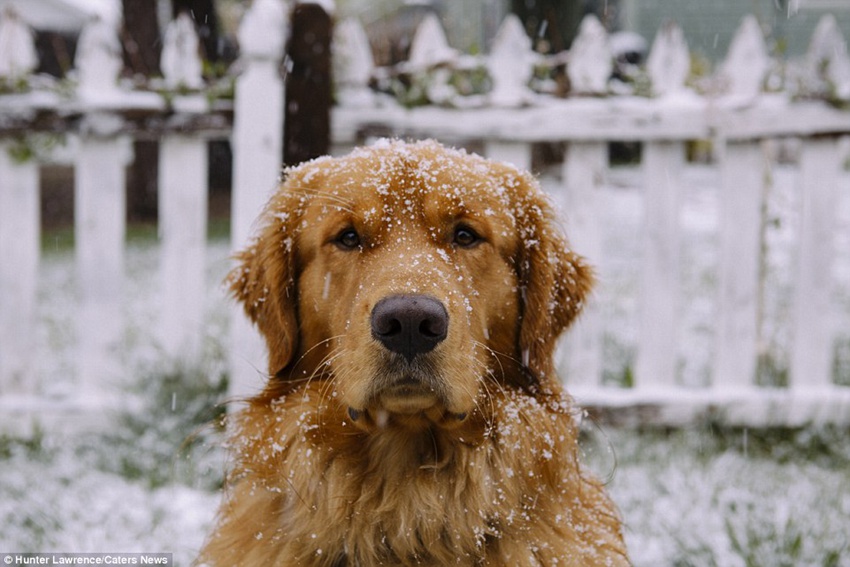 Meet the dog Aspen who puts your outdoor travel adventures to shame