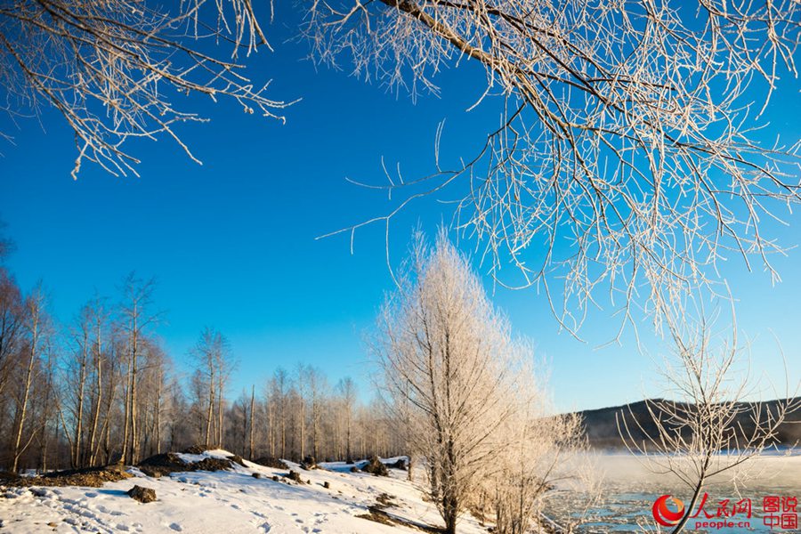 Breathtaking rime view in Heilongjiang