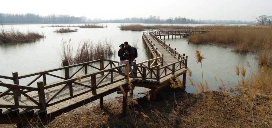 Beijing Wild Duck Lake: Heavenly wetland for birds