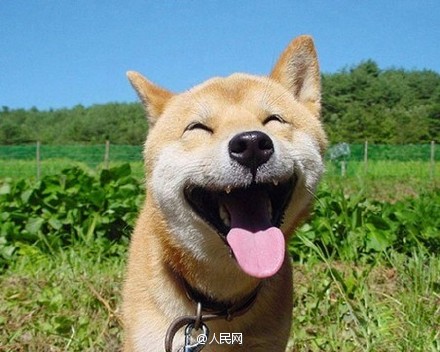 Darling, shall we laugh together?
