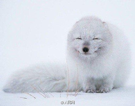 Darling, shall we laugh together?
