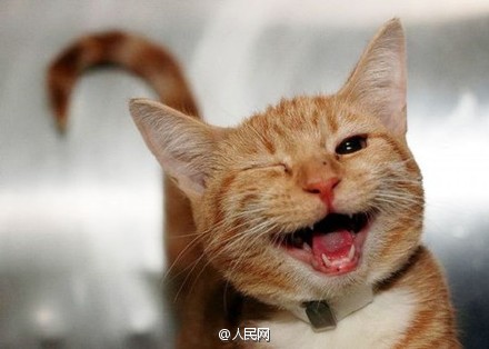 Darling, shall we laugh together?
