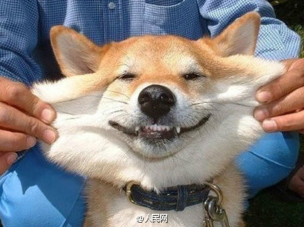 Darling, shall we laugh together?
