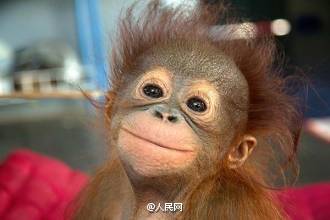 Darling, shall we laugh together?
