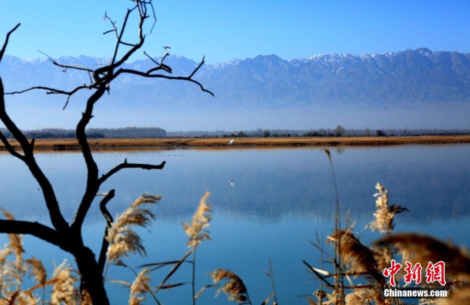 Early winter scenery of wetland in NW China