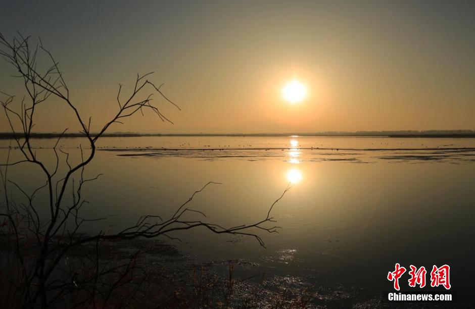 Early winter scenery of wetland in NW China