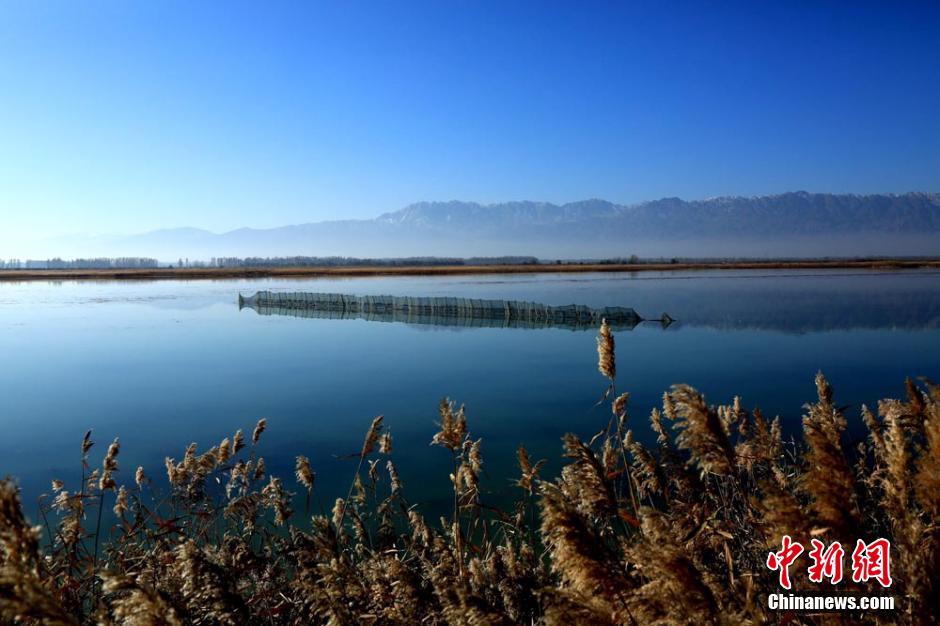 Early winter scenery of wetland in NW China