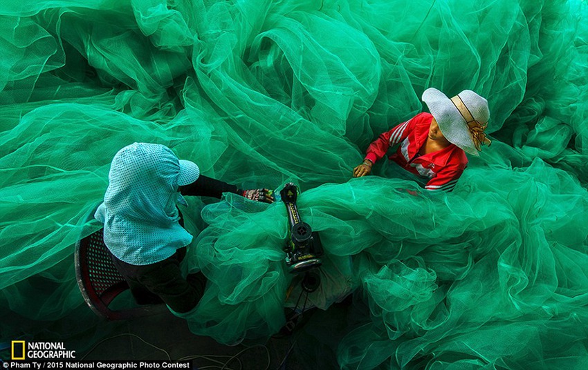Best pictures from National Geographic's Photo Contest 2015