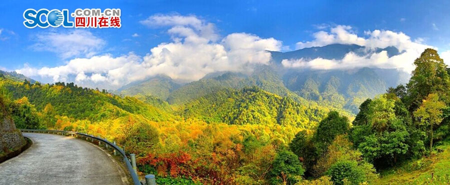 Enjoy red autumnal leaves in Black Bamboo Valley of SW China
