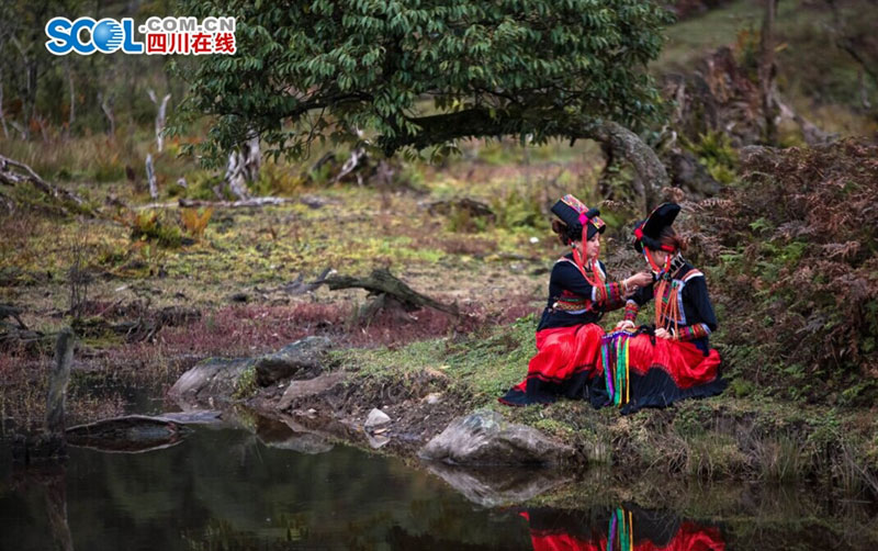 Enjoy red autumnal leaves in Black Bamboo Valley of SW China
