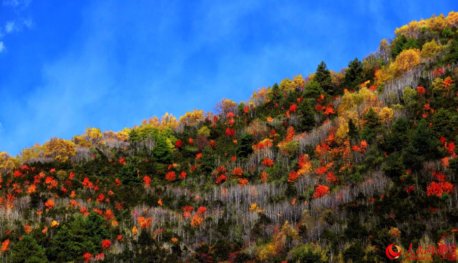 Colorful scenery of Aba Autonomous Prefecture