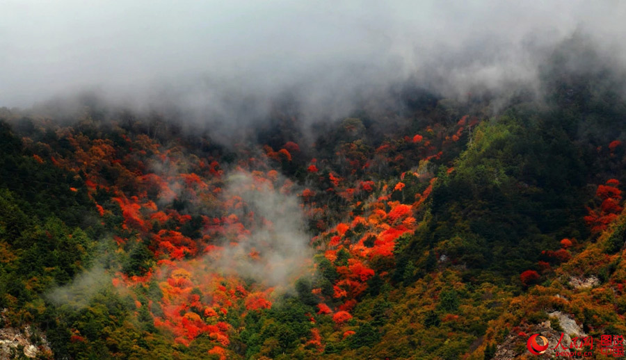 Colorful scenery of Aba Autonomous Prefecture