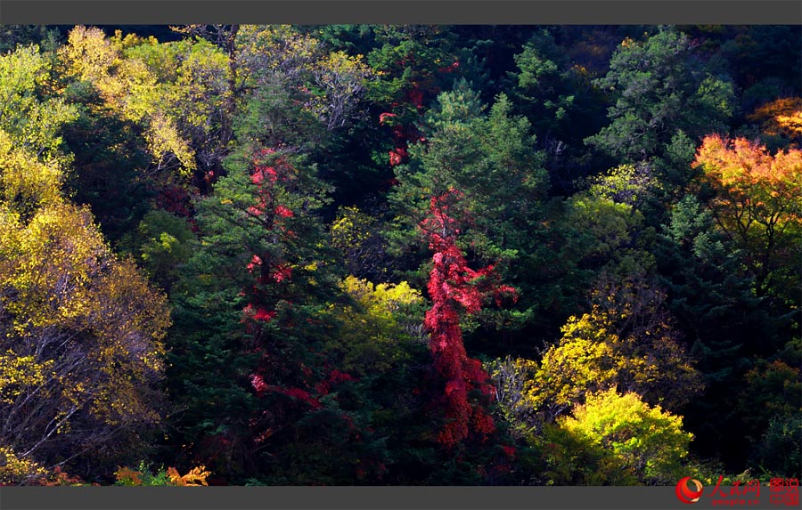 Colorful scenery of Aba Autonomous Prefecture