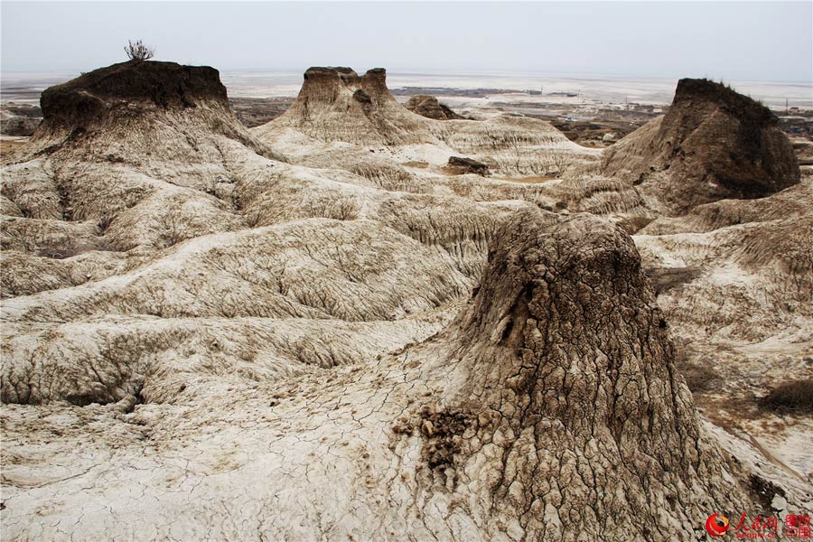 Primitive beauty of Qian’an mud forest