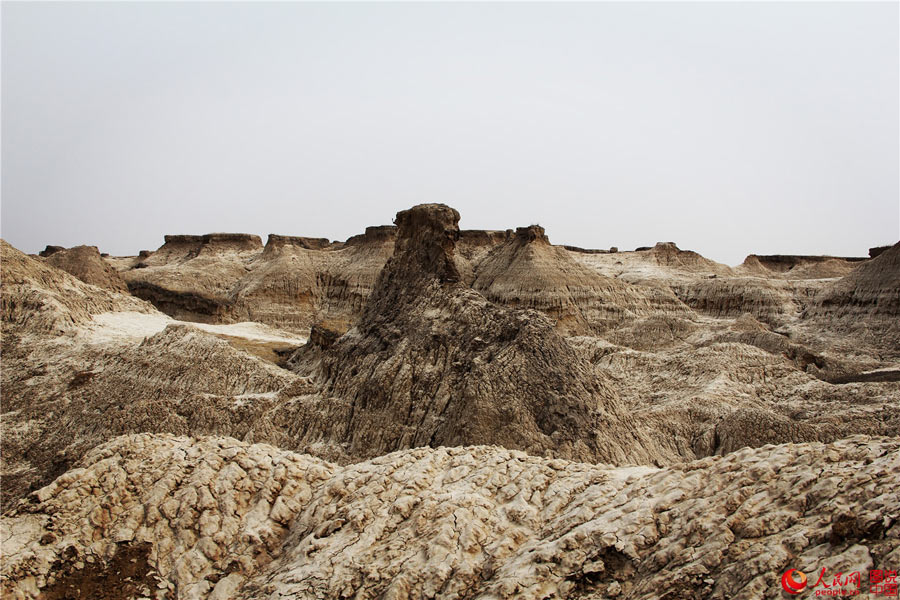 Primitive beauty of Qian’an mud forest