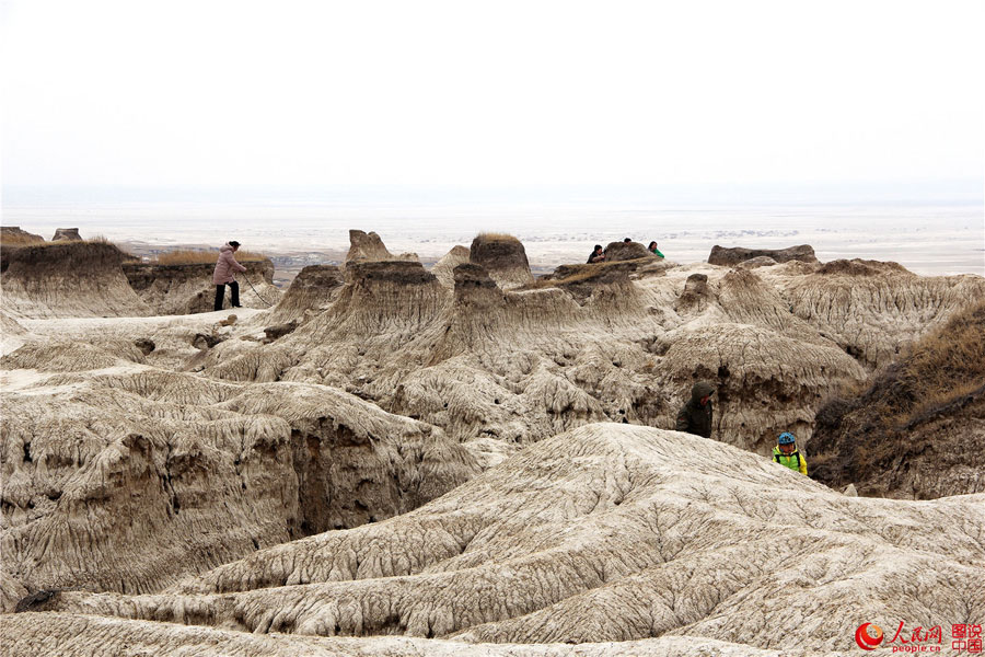 Primitive beauty of Qian’an mud forest