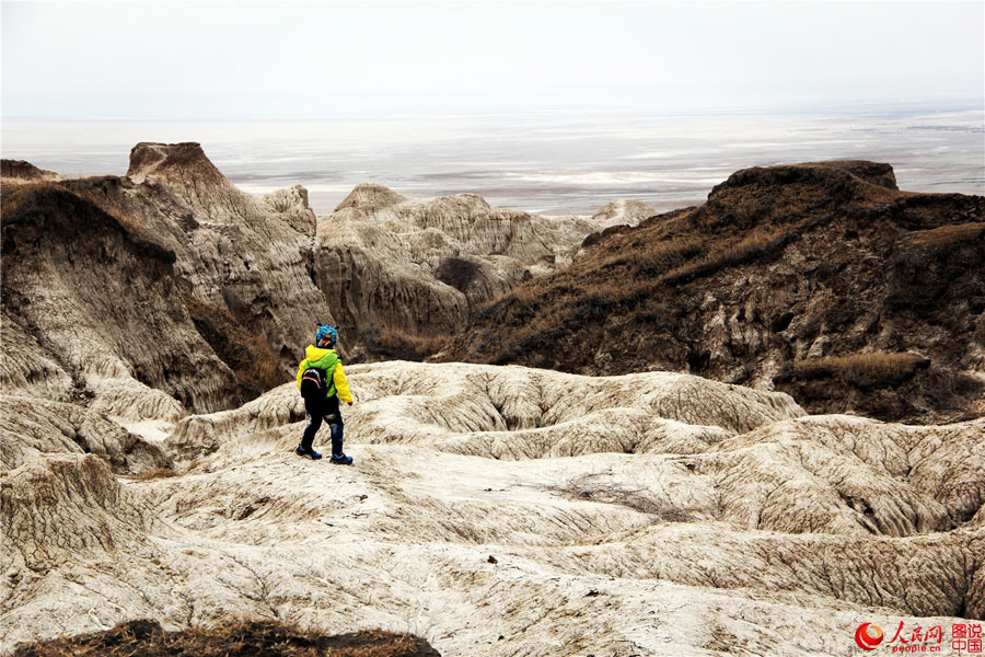 Primitive beauty of Qian’an mud forest