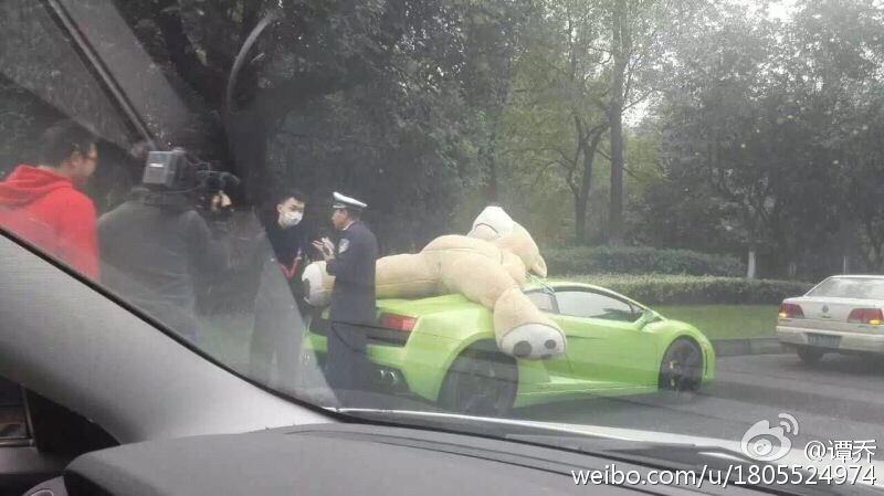 Police pull over a Lamborghini with a teddy bear strapped on the roof