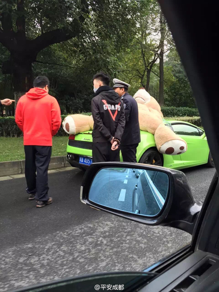 Police pull over a Lamborghini with a teddy bear strapped on the roof