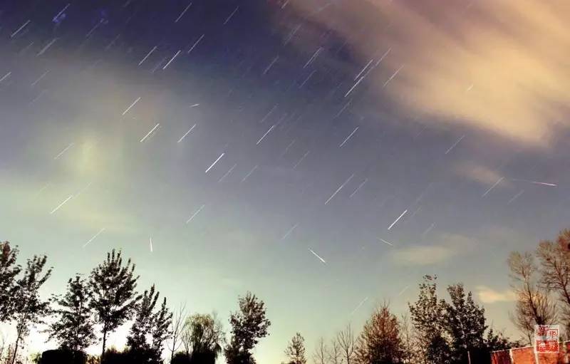 Beautiful Leonid meteor shower