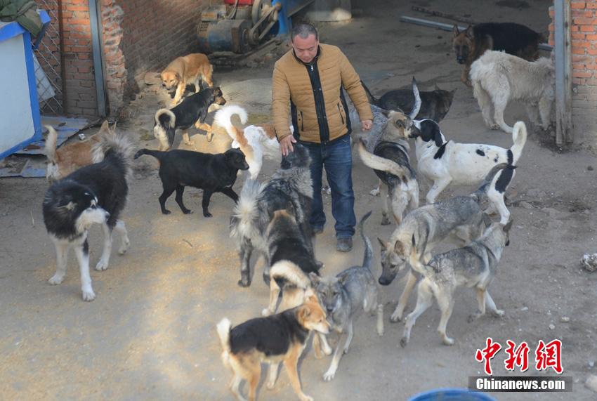 This man saves over 2,000 dogs from butchers at meat markets