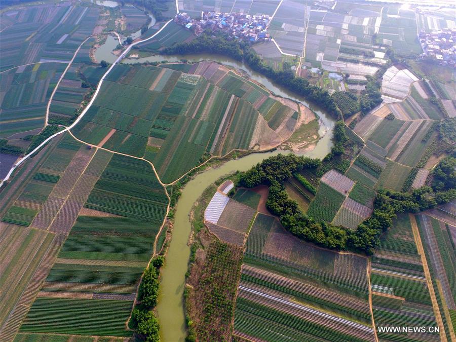 In pics: farmland scenery of Tianzhou Township, S China's Guangxi