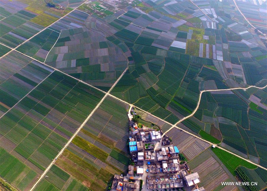 In pics: farmland scenery of Tianzhou Township, S China's Guangxi