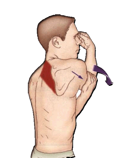 Nine methods help you stay away from shoulder periarthritis

