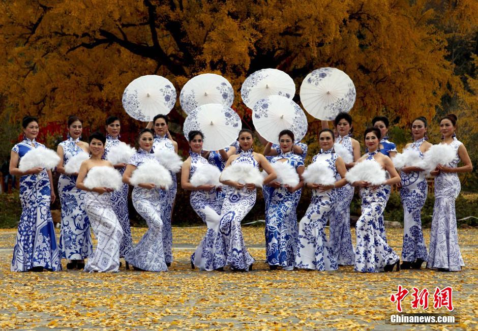 Senior models give cheongsam show under thousand-year-old gingko tree