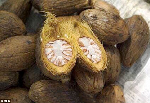 Suspected criminal managed to avoid being caught for 13 years because his addiction to chewing betel nuts 'altered his looks'