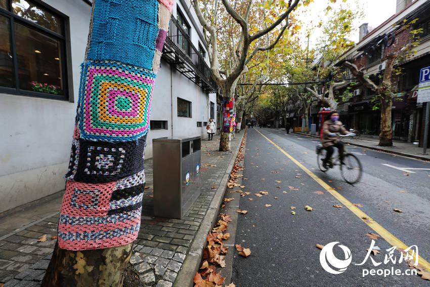 Trees in Shanghai 'wear' sweaters for the winter