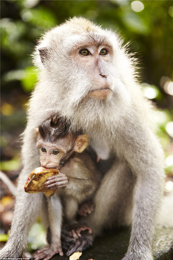 Where the wild things are: Stunning pictures from the most remote places on earth where you can truly get away from it all