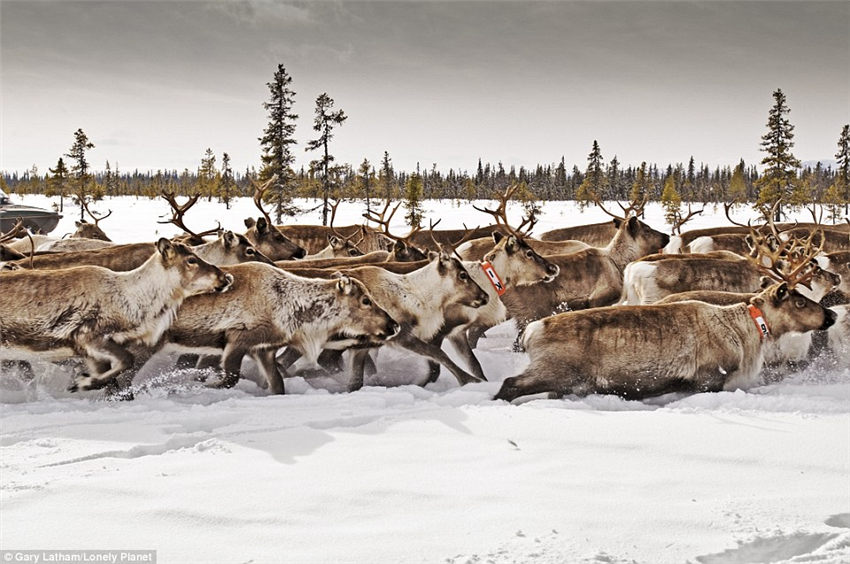 Where the wild things are: Stunning pictures from the most remote places on earth where you can truly get away from it all