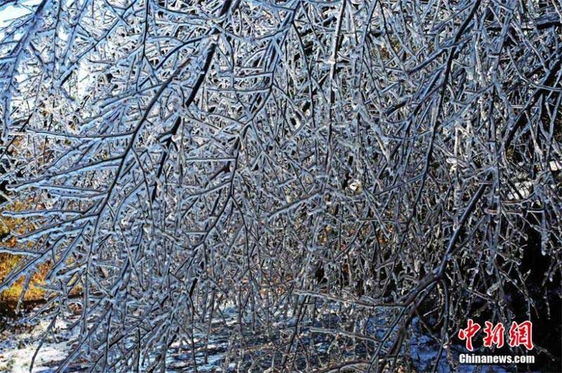 Beautiful icicles in Hubei