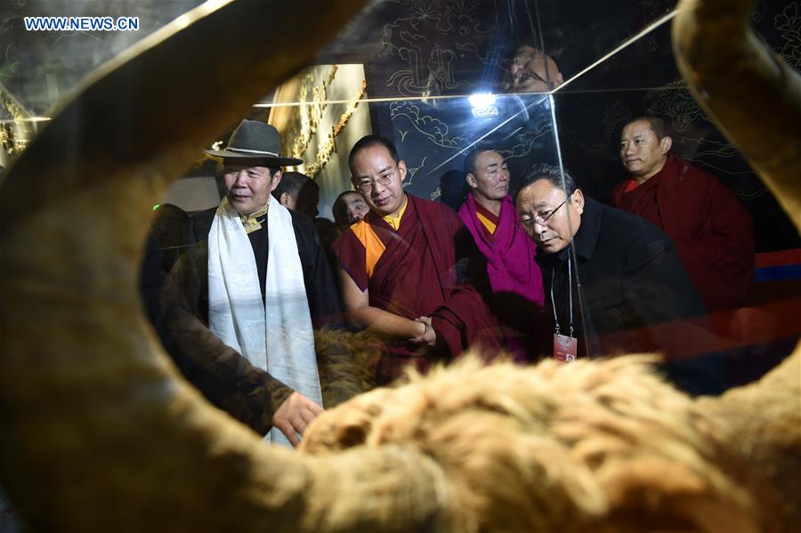 11th Panchen Lama visits Lhasa