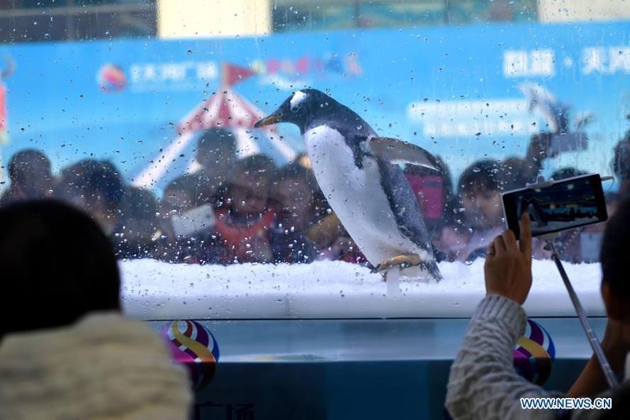 Penguin science exhibition held in S China