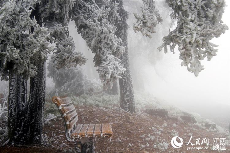 Rime scenery turns Lu Mountain into a fairyland in Jiangxi
