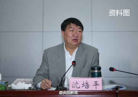  Former Yunnan vice governor jailed for 12 yrs for bribery