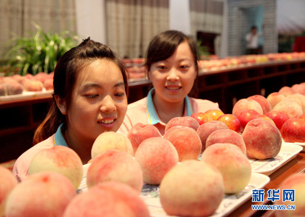 Peach dates back 2.6 mln years: research