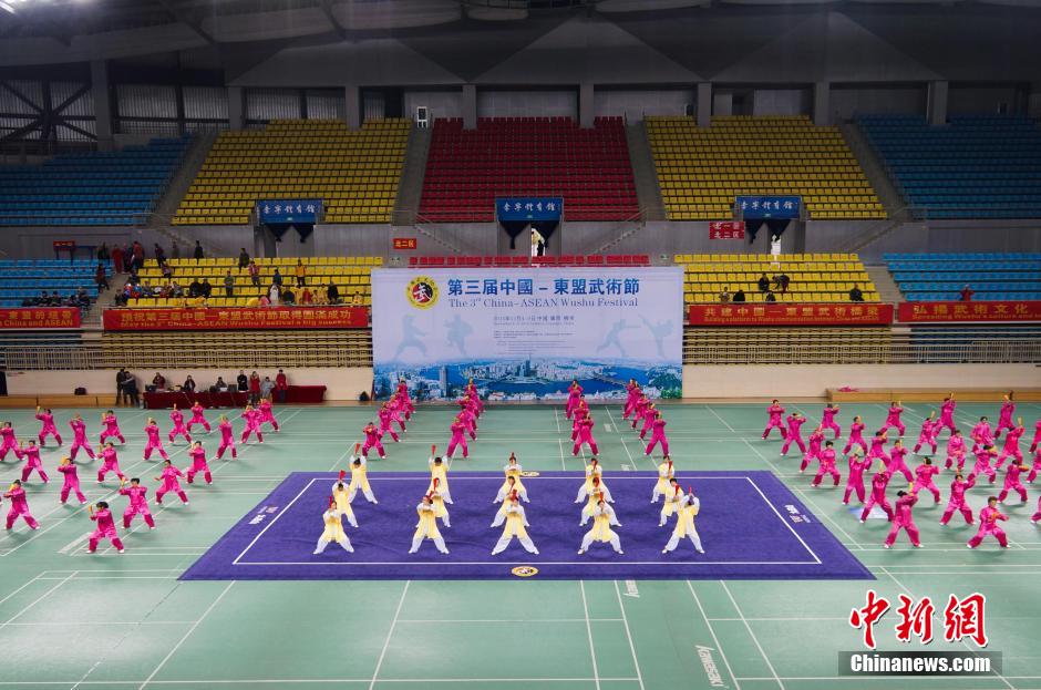 3rd China-ASEAN Wushu Festival opens in Liuzhou