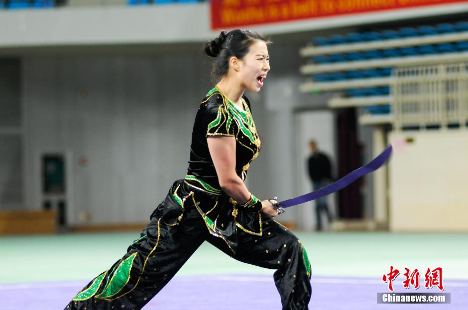 3rd China-ASEAN Wushu Festival opens in Liuzhou