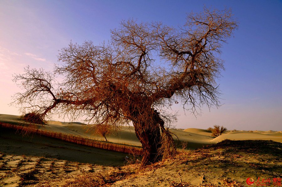 Breathtaking scenery alongside Hotan desert highway