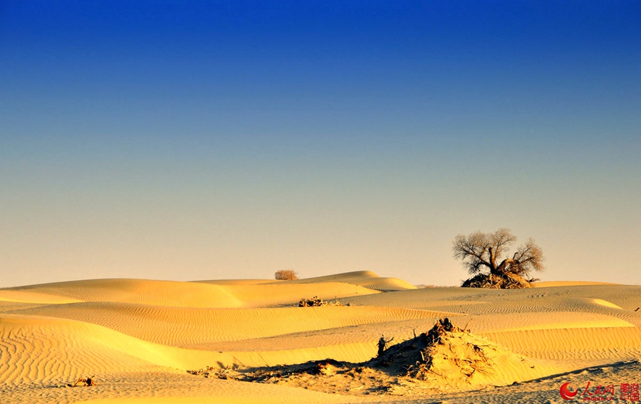 Breathtaking scenery alongside Hotan desert highway