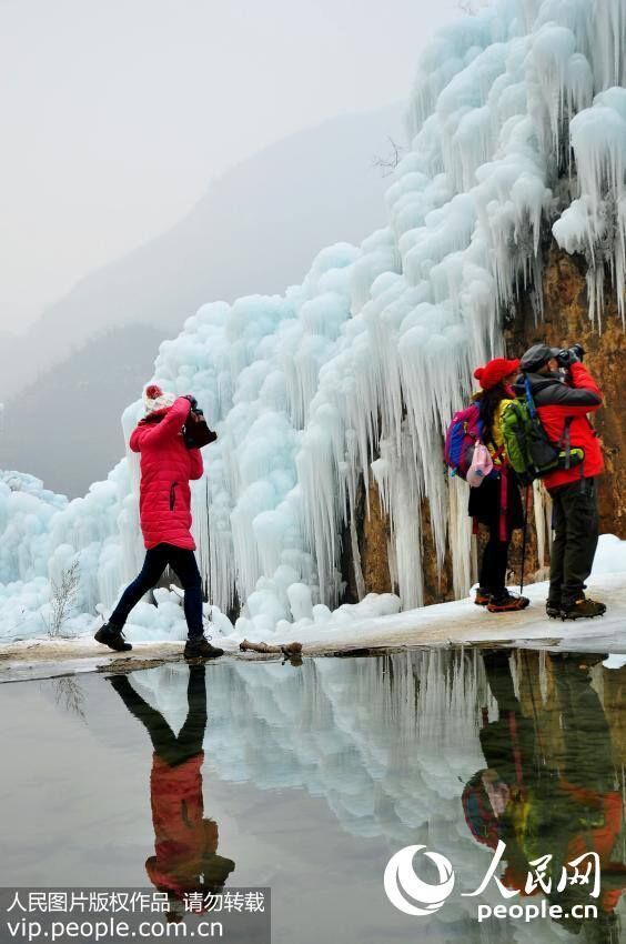 The Enthralling Mother Nature: Magnificent Waterfall Freezes into Icicles in C. China