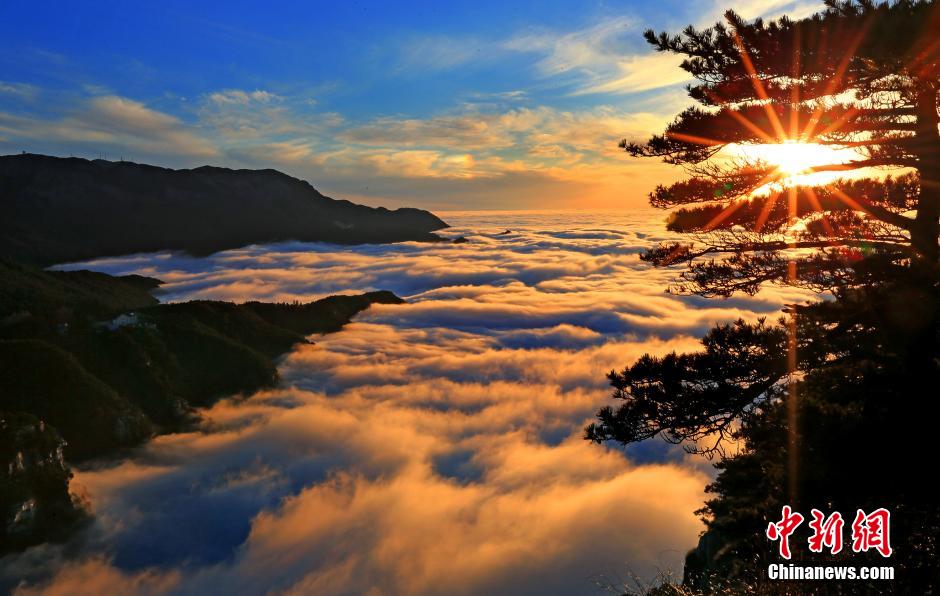 Intoxicating sea of cloud in Lushan Mountain