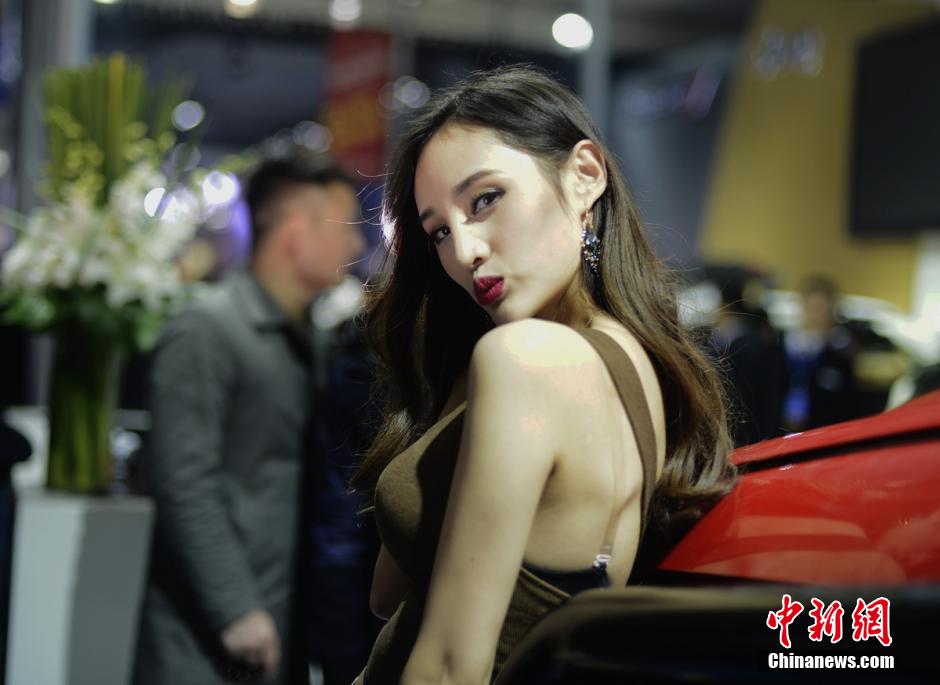 11th Int'l Auto show opens in Changsha