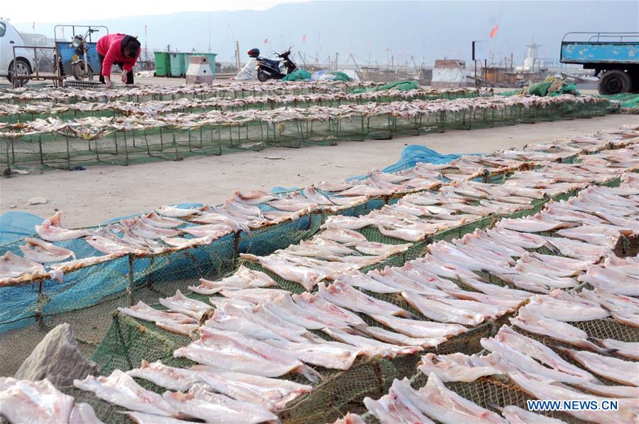 Sunny days bring dried fish for fishing villagers in Jiangsu
