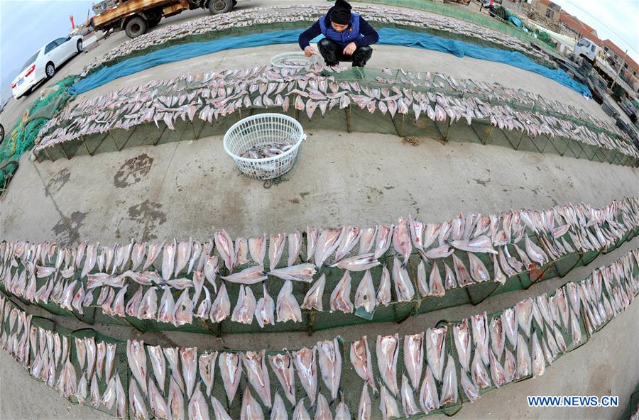 Sunny days bring dried fish for fishing villagers in Jiangsu
