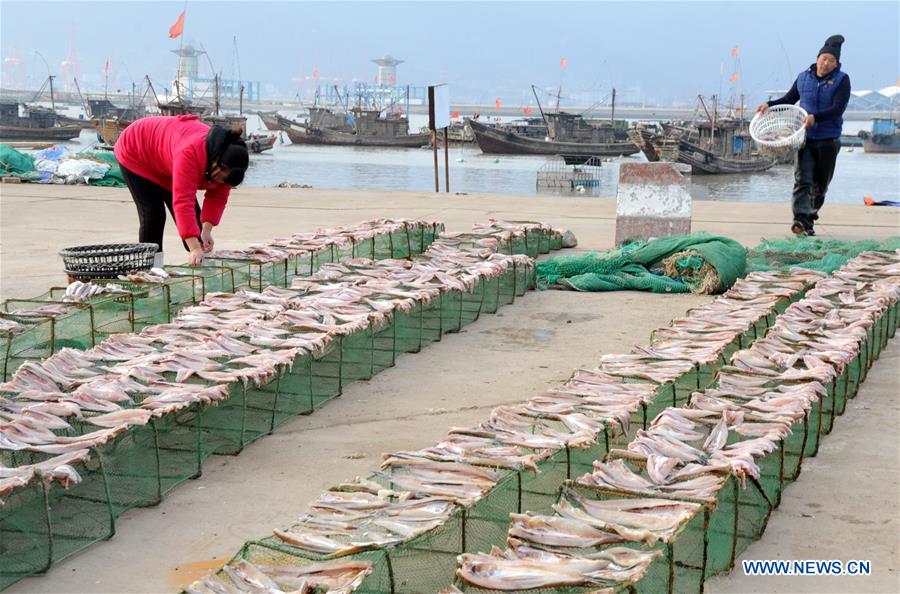 Sunny days bring dried fish for fishing villagers in Jiangsu